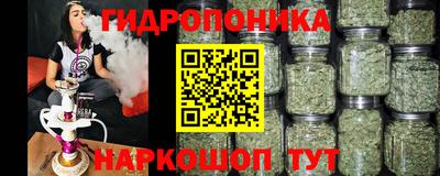 прущие грибы Дубна