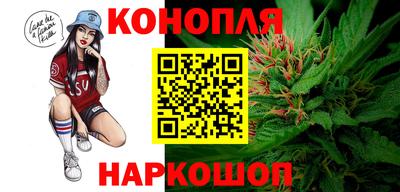 прущие грибы Дубна