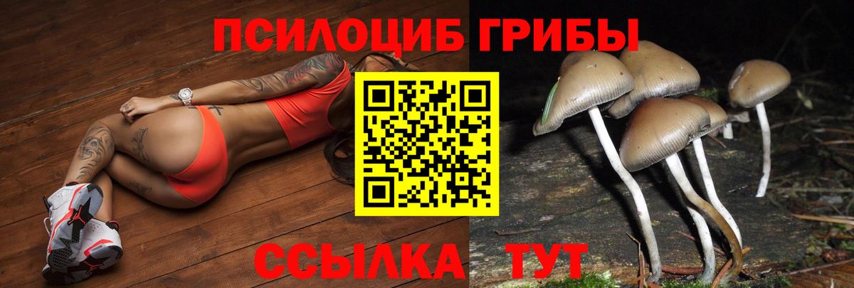 Псилоцибиновые грибы GOLDEN TEACHER  Псилоцибиновые грибы Psilocybe  Миасс  Вход с VPN 